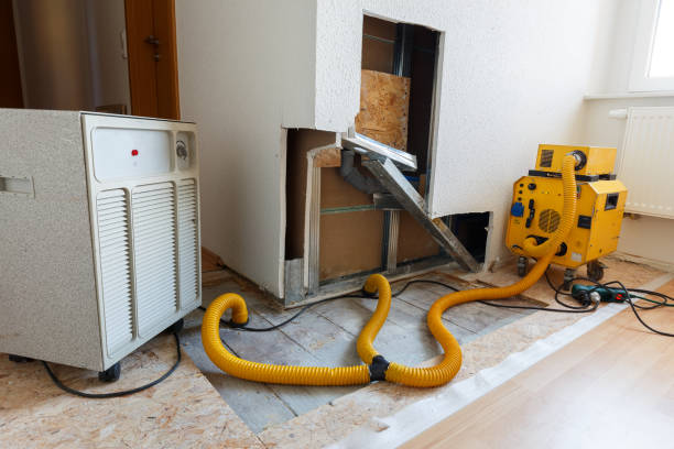 Best Emergency Mold Remediation  in Muncy, PA